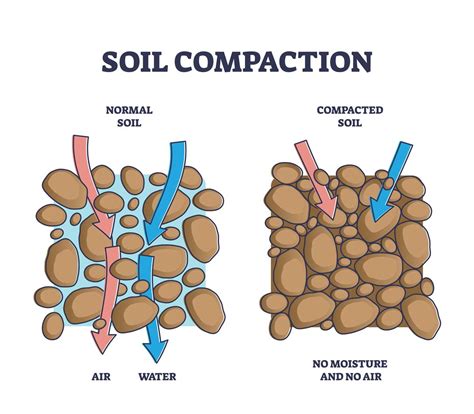 The Science of Soil Compaction 